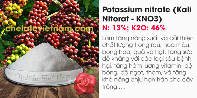 Potassium nitrate (Kali Nitorat - KNO3) N: 13%; K2O: 46%